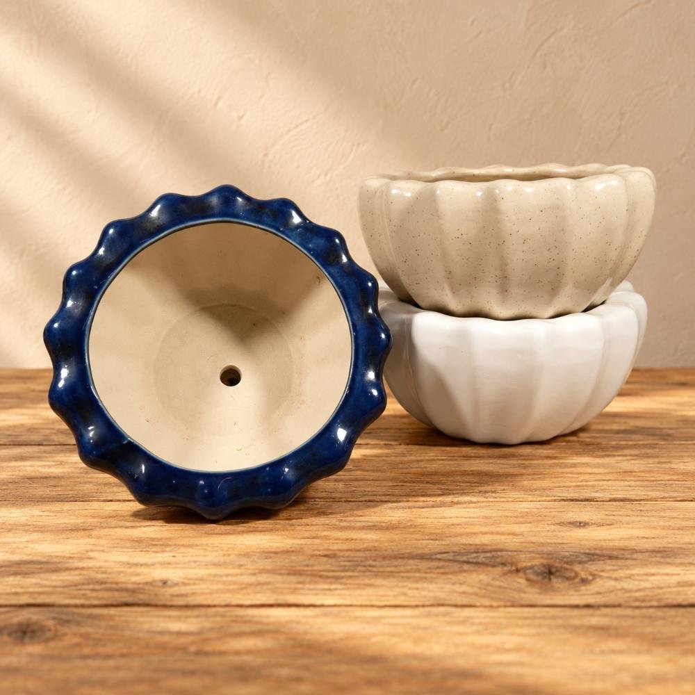 aap-054-medium-white-scalloped-low-bowl-ceramic-planter-ai-lifestyle-01 Medium White Scalloped Low Bowl Ceramic Planter - Image 1
