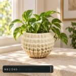 Medium Beige Honeycomb Textured Ceramic Pot - Image 2
