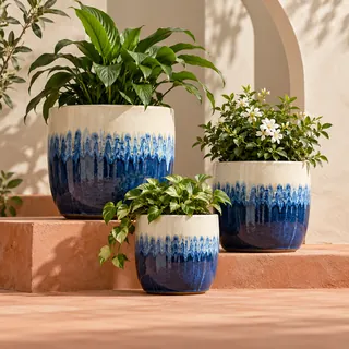 Set - Khurja Ceramic